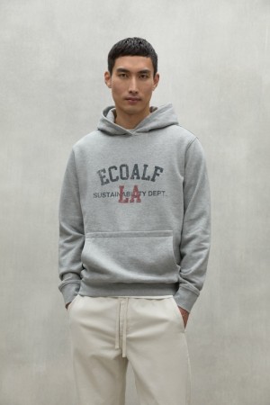 Ecoalf Venice Sweatshirts Herren Grau | CQS-159702